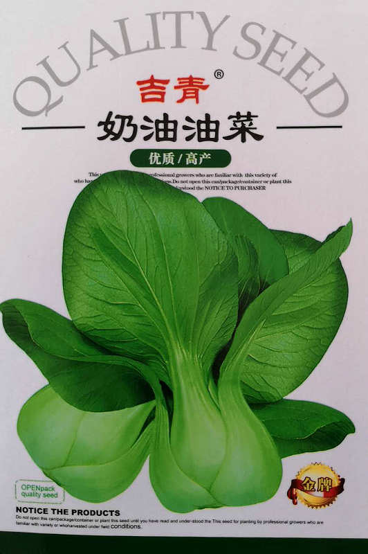 奶油油菜——青梗菜